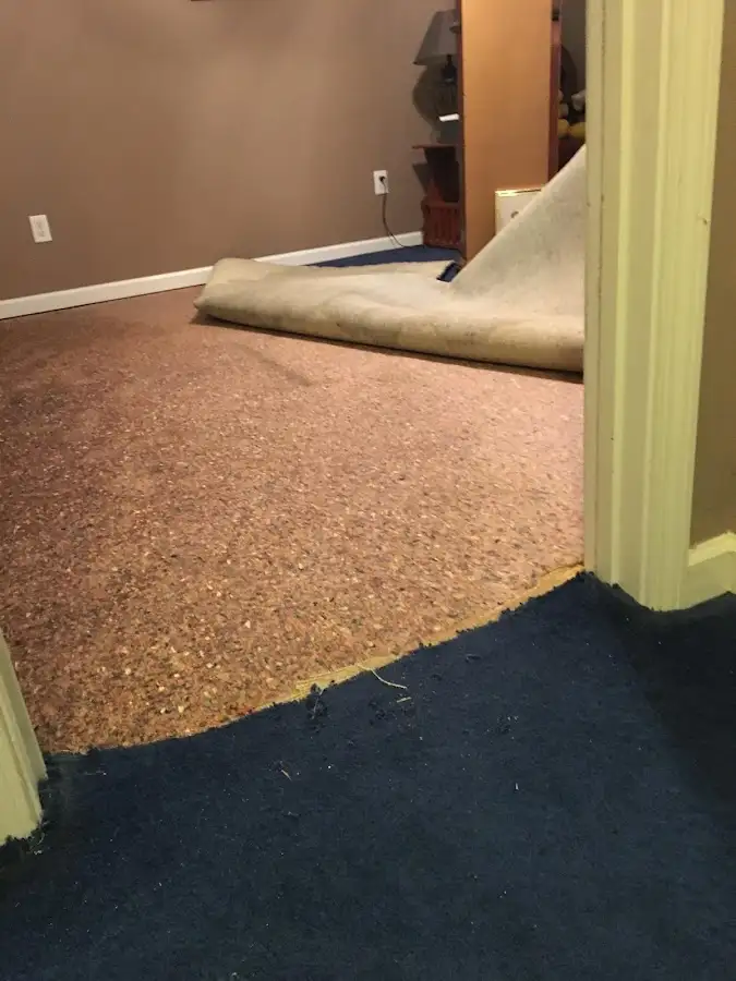 Carpet pad removal revealing water damage during Water Mitigation Services in Ogden